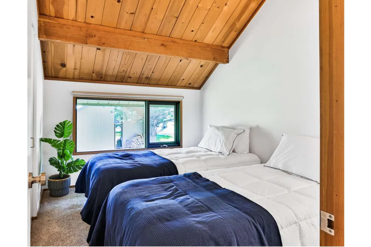 A bright, welcoming bedroom with two twin beds dressed in navy blue bedding, separated by a spacious window overlooking lush greenery. A potted plant in the corner adds life to the room, while the large window brings the outdoors in, filling the space with light.